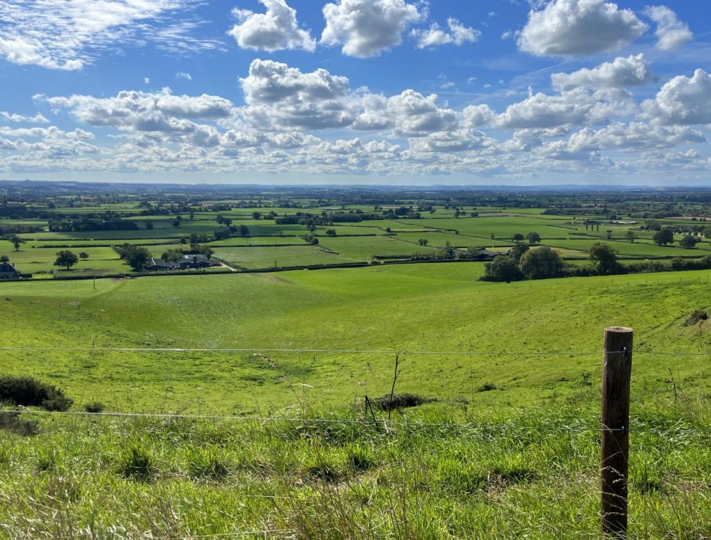 Cheesemaking countryside