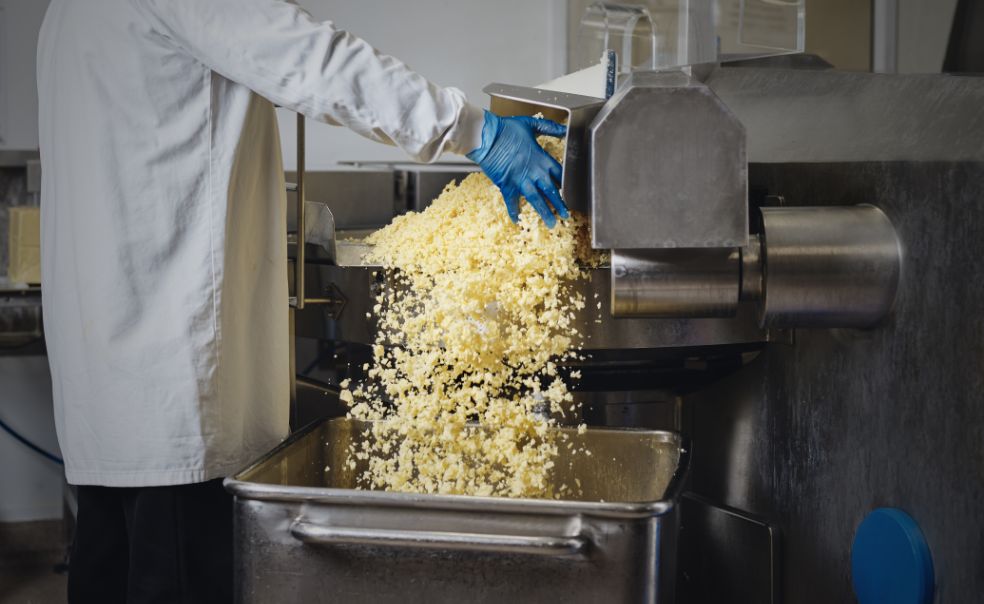 Cheese manufacturing at The Ilchester Cheese Company