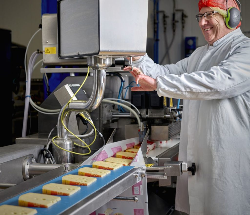 Jarlsberg cheese manufacturing